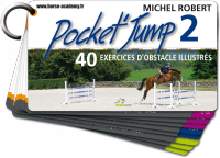 Pocket Jump 2